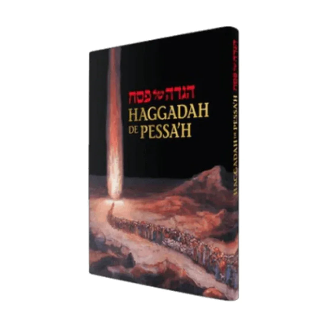 Précommande- Haggadah de Pessa’h - Bayit Tova