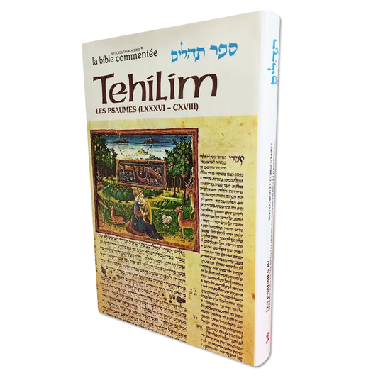 Les Psaumes / Tehilim tome IV (Psaumes 86 à 118)