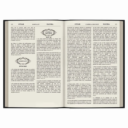 Livre ouvert en français sur hospitalité et lumière et obscurité avec texte et illustrations