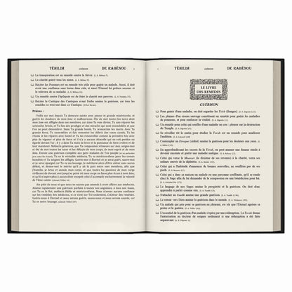 Page ouverte du livre Téhilim de Rabénou sur les remèdes et la guérison en hébreu et français