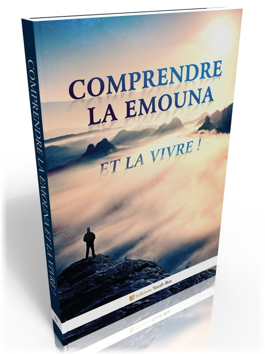 Couverture du livre « Comprendre la Emouna et la vivre » avec paysage montagneux brumeux et silhouette d'une personne
