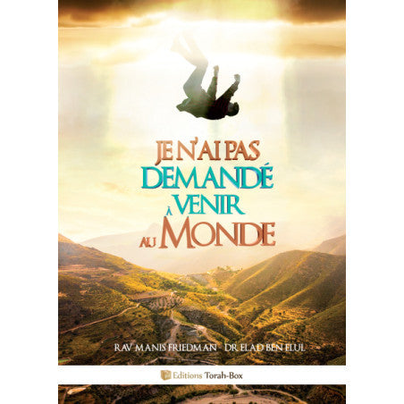 Homme en chute libre au-dessus d'un paysage montagneux au coucher du soleil avec texte Je n'ai pas demandé à venir au monde