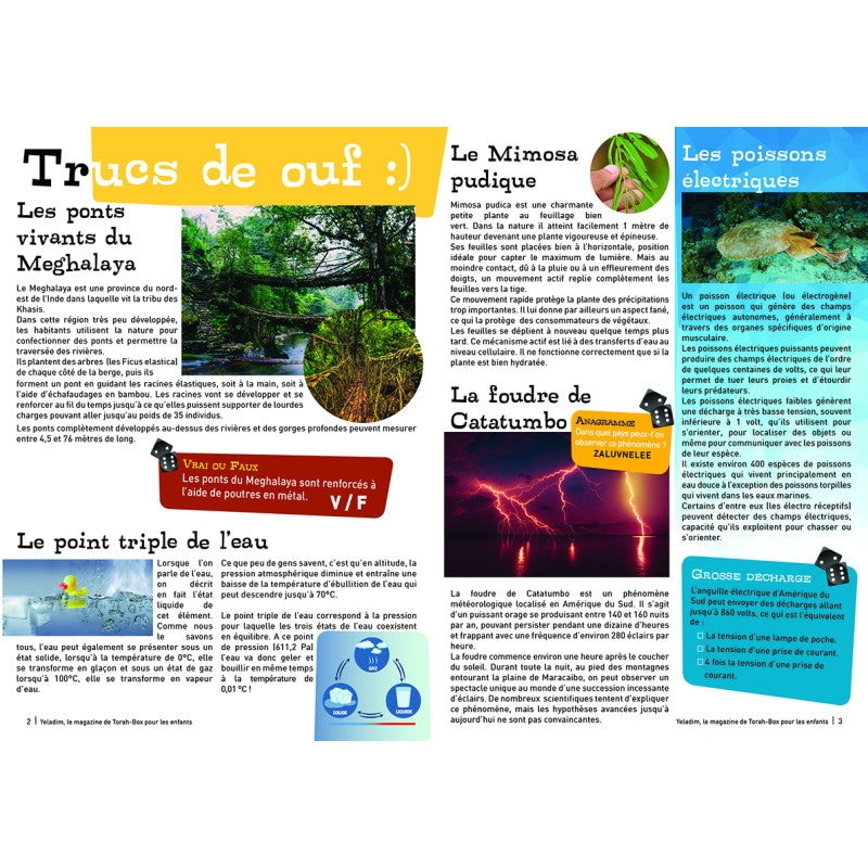 Pages de magazine éducatif en français sur le Meghalaya, mimosa pudique, poissons électriques, foudre de Catatumbo